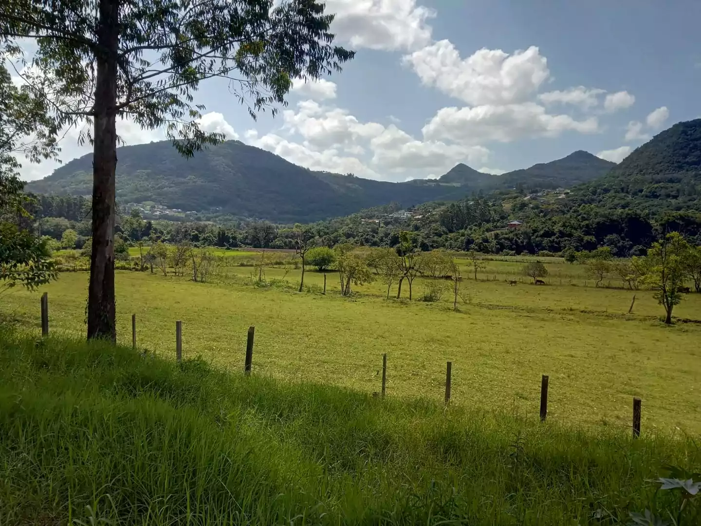 Venda - área de terras